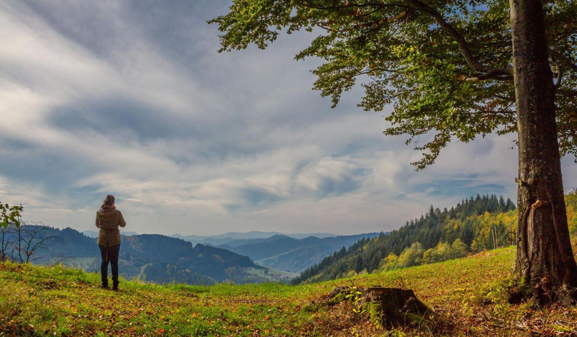 Ferienwohnungen Golla-Lang Oberharmersbach Zewnętrze zdjęcie