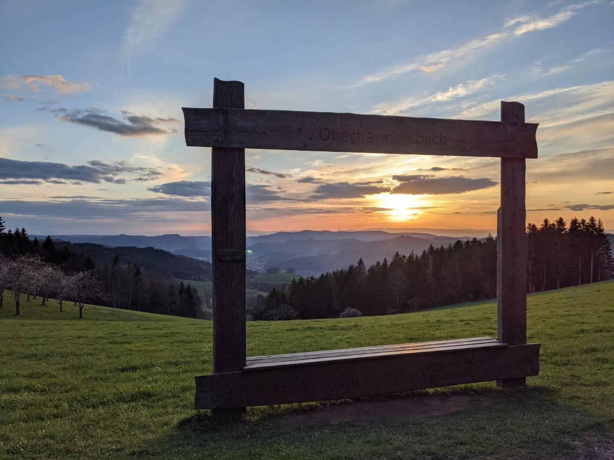Ferienwohnungen Golla-Lang Oberharmersbach Zewnętrze zdjęcie