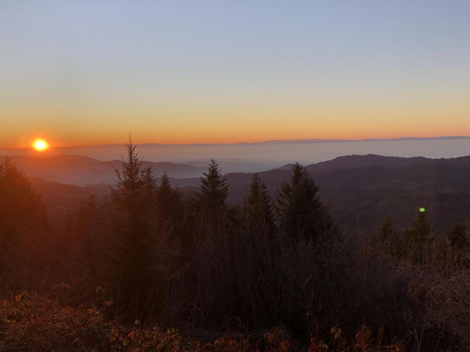 Ferienwohnungen Golla-Lang Oberharmersbach Zewnętrze zdjęcie