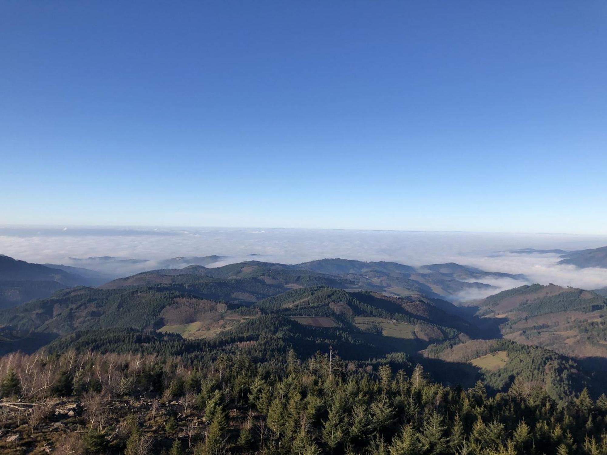 Ferienwohnungen Golla-Lang Oberharmersbach Zewnętrze zdjęcie