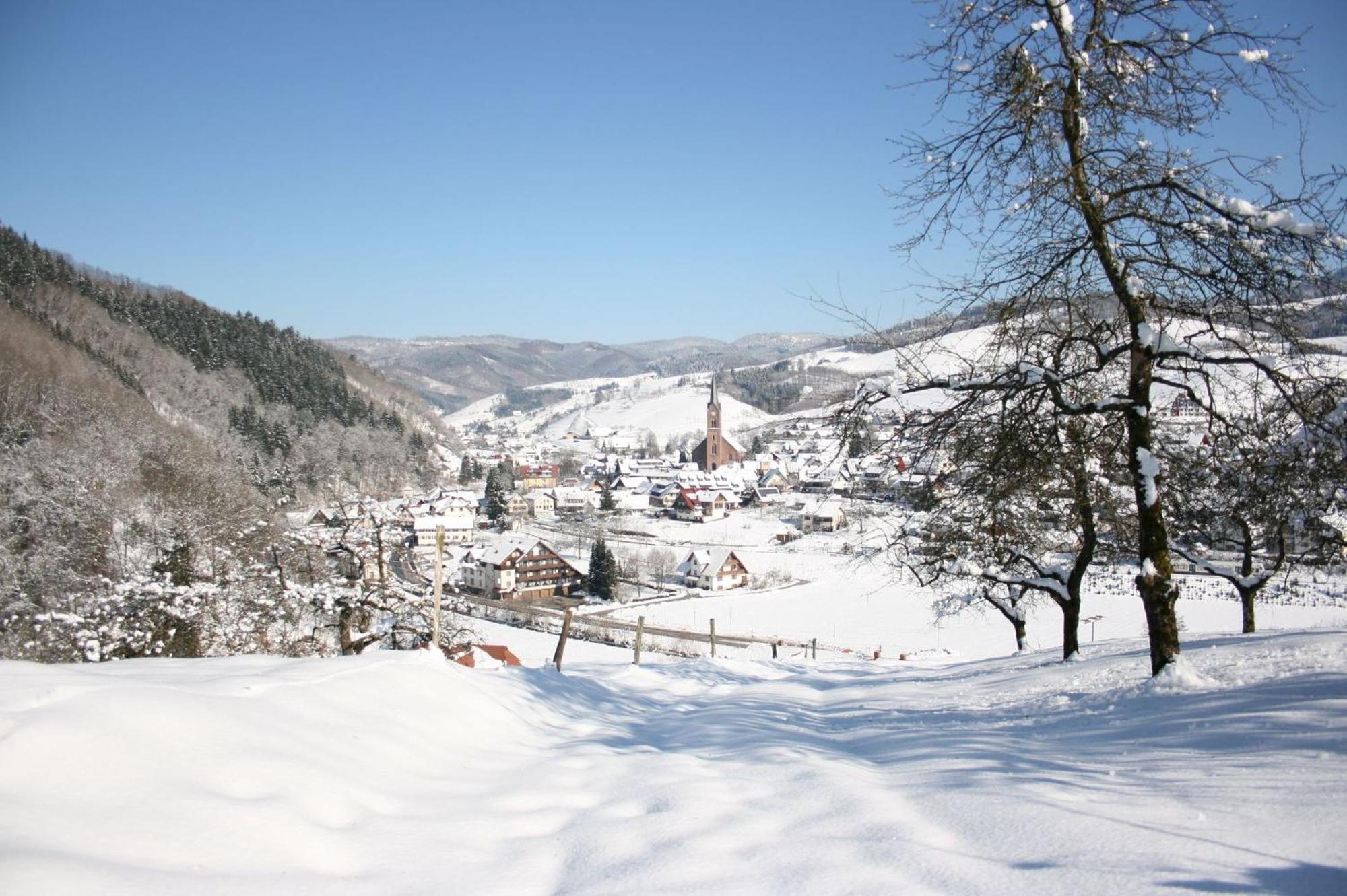 Ferienwohnungen Golla-Lang Oberharmersbach Zewnętrze zdjęcie