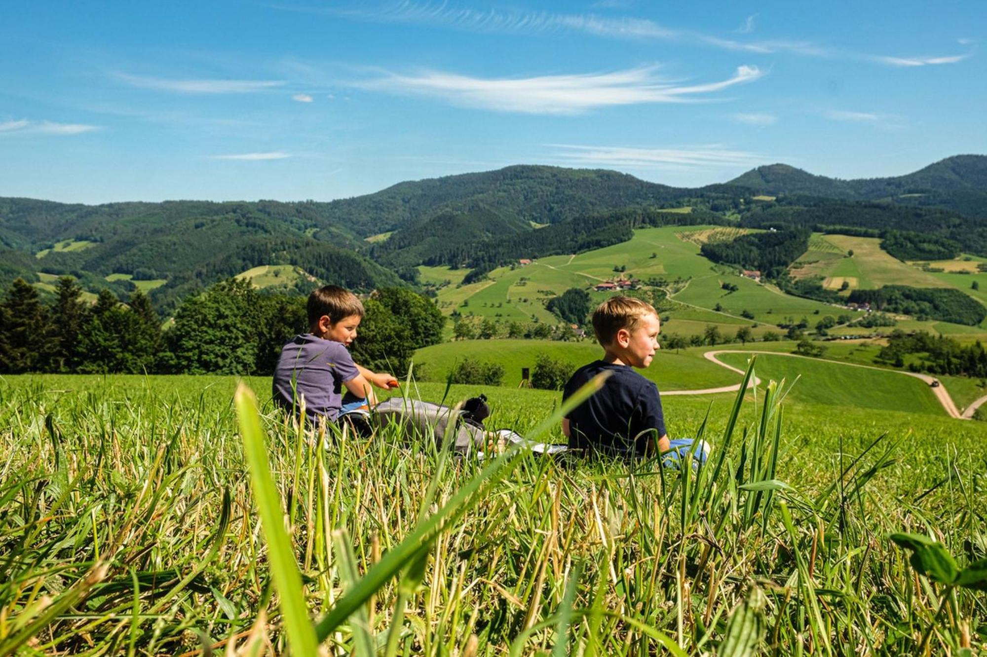 Ferienwohnungen Golla-Lang Oberharmersbach Zewnętrze zdjęcie