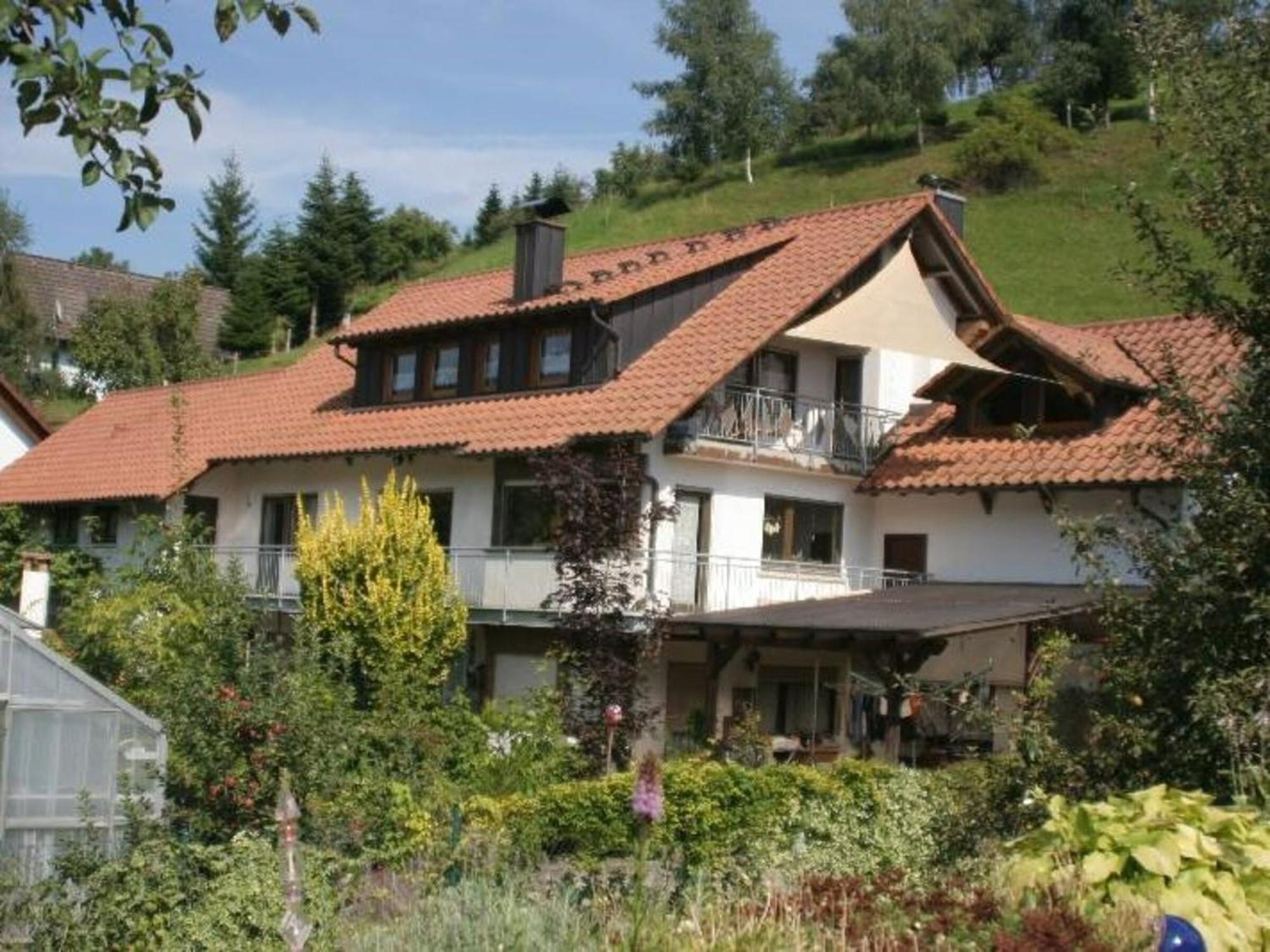 Ferienwohnungen Golla-Lang Oberharmersbach Zewnętrze zdjęcie