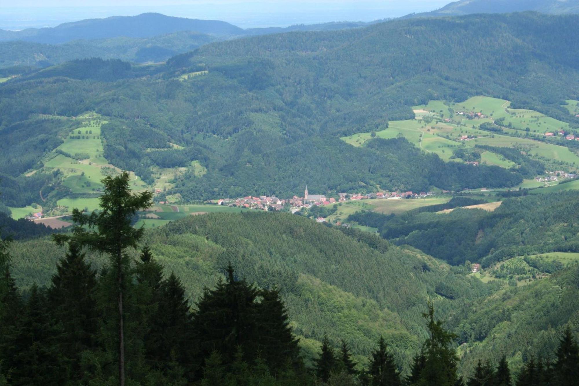 Ferienwohnungen Golla-Lang Oberharmersbach Zewnętrze zdjęcie