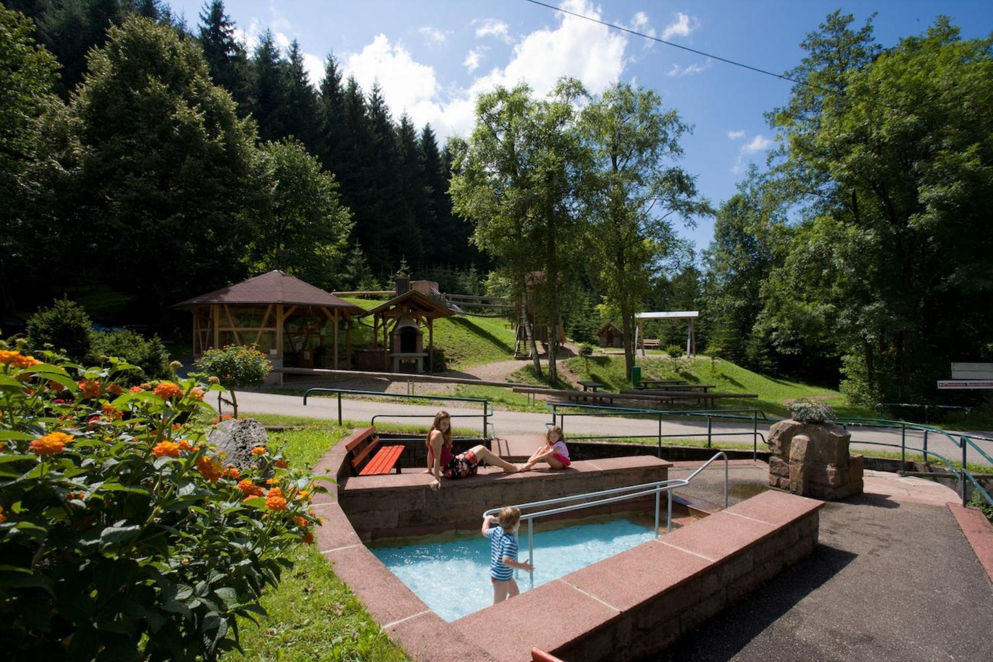 Ferienwohnungen Golla-Lang Oberharmersbach Zewnętrze zdjęcie