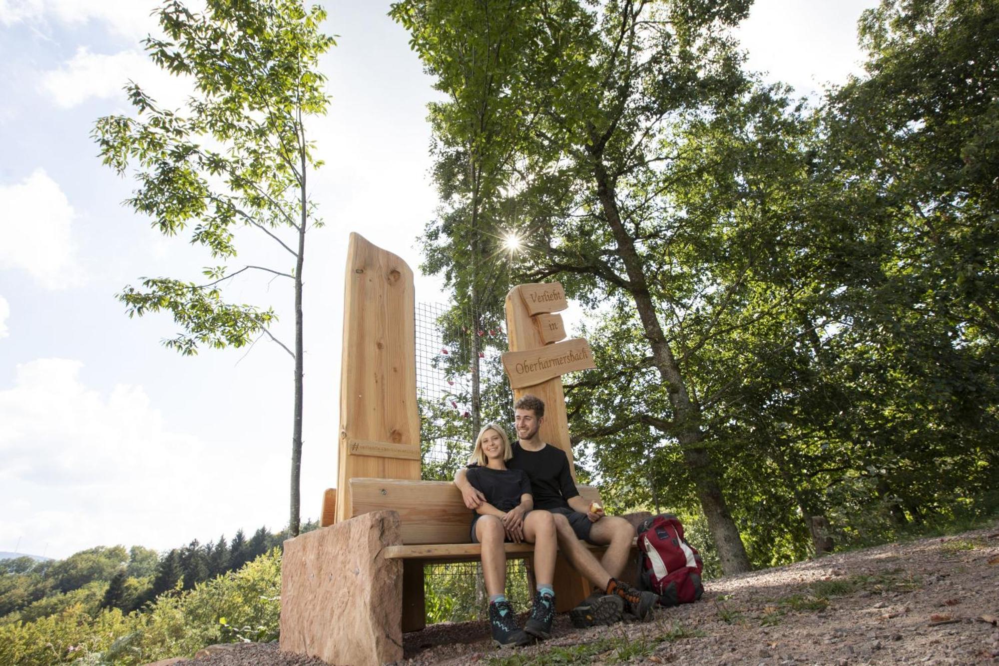 Ferienwohnungen Golla-Lang Oberharmersbach Zewnętrze zdjęcie