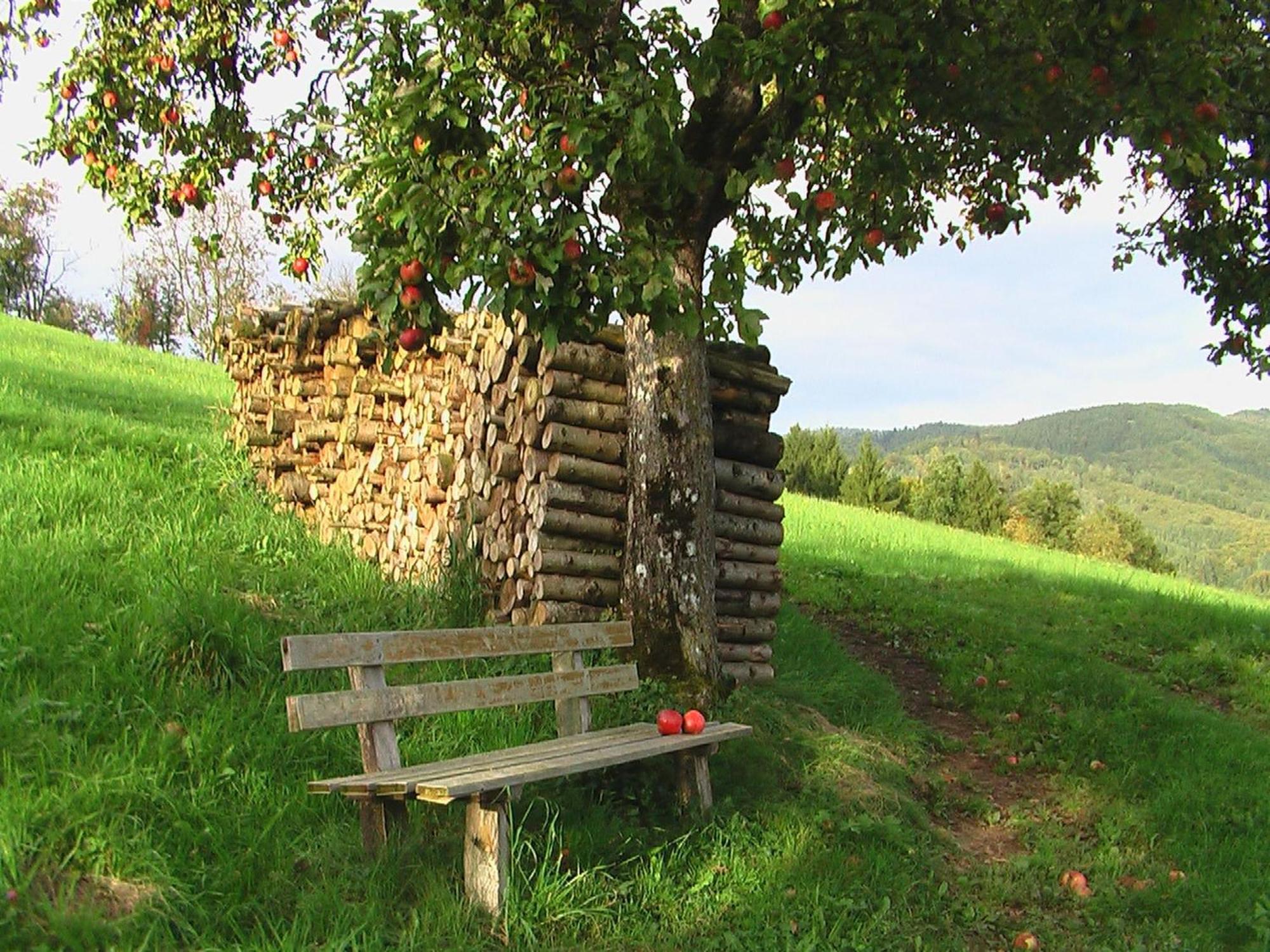 Ferienwohnungen Golla-Lang Oberharmersbach Zewnętrze zdjęcie