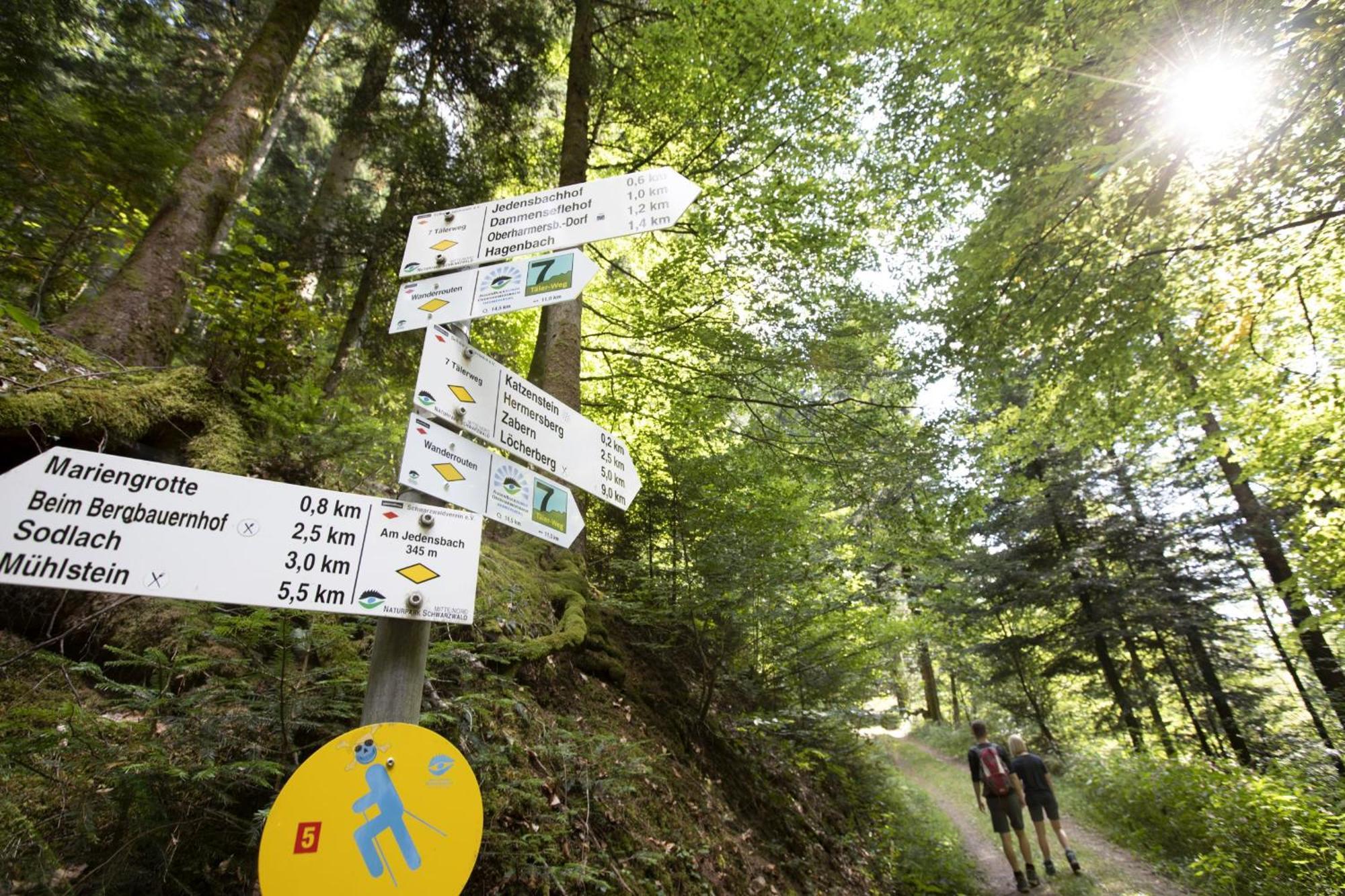 Ferienwohnungen Golla-Lang Oberharmersbach Zewnętrze zdjęcie