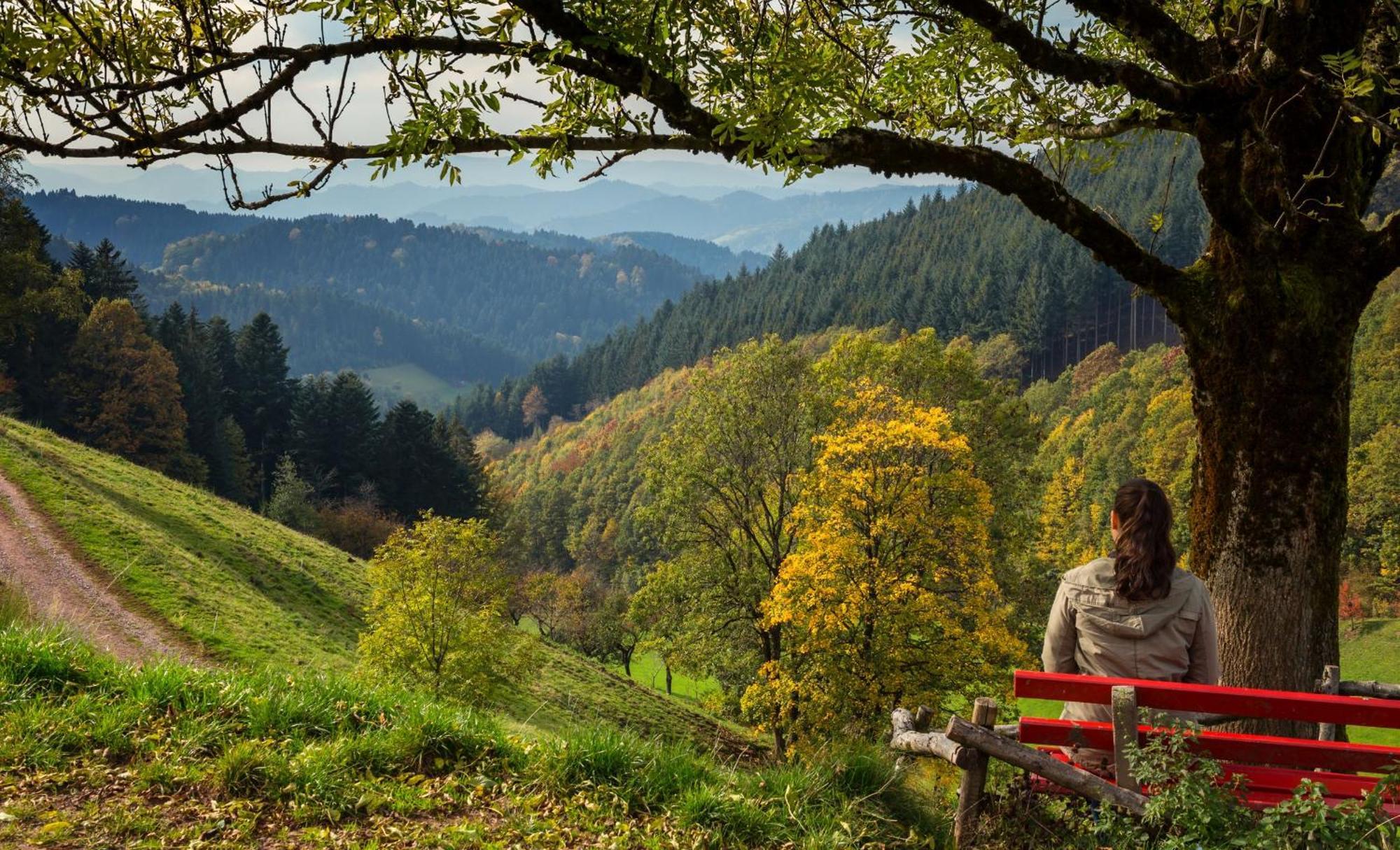 Ferienwohnungen Golla-Lang Oberharmersbach Zewnętrze zdjęcie